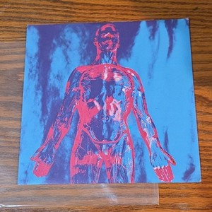 Nirvana Sliver Vinyl | eBay