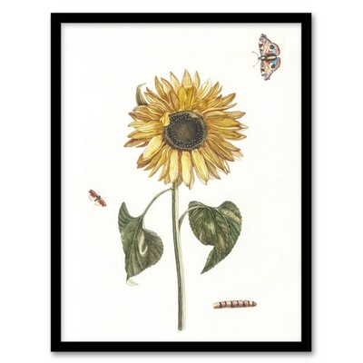 Sunflower Caterpillar And Two Butterflies Teyler Framed Wall Art Print A3/A4