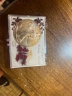 2012 silver eagle