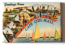 Greetings from Dennisport Massachusetts FRIDGE MAGNET travel cape cod "style B"