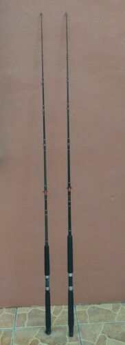 Penn Squadron III Jig Rod Canne Da Pesca Per La Barca 2 Sez