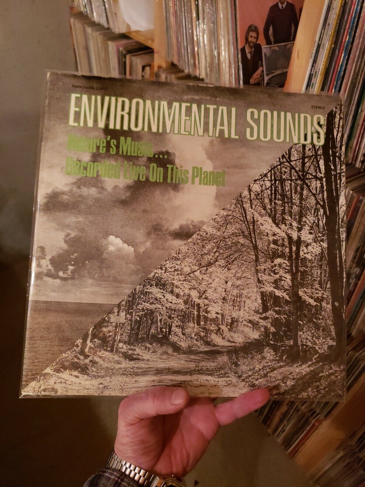 Environmental Sounds Lp Yorkshire 27015 Excellent Vinyl  - V. Good Cover