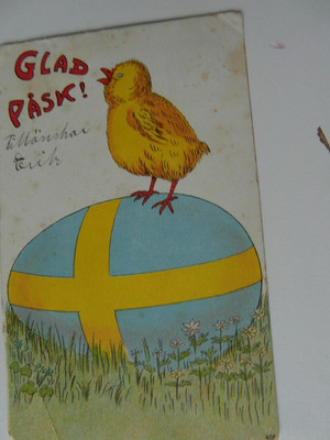 AK Glad Pask!   Küken,Osterei,Blumenwiese gel.?   bes.