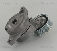 Triscan Riemenspanner Keilrippenriemen 8641 502003 FüR BK Mazda BK14 BK12