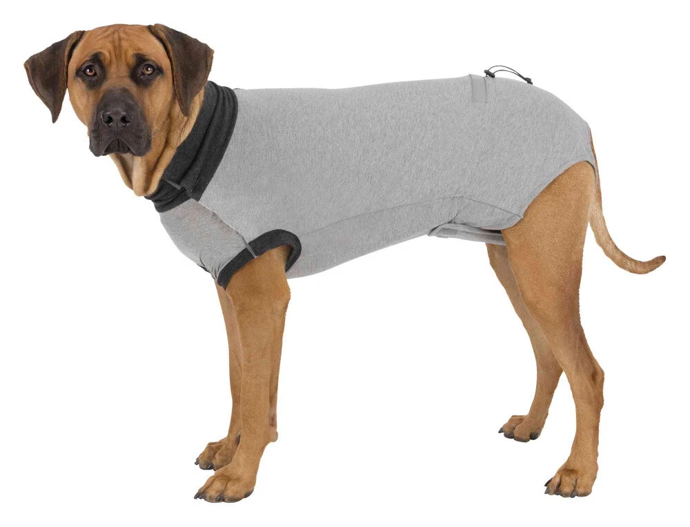 Sale Dog Body Suit Prevents Dogs From Licking Wounds Injuries eBay