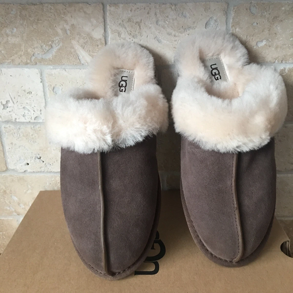 Scuffette ii 2024 slipper ugg