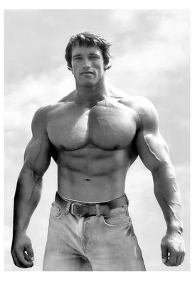 Arnold Schwarzenegger Bodybuilding Photo Poster Wall Print