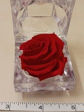 Real Flower Red Rose In Clear Acrylic Dome Box 2 in. Beautiful Gift Keepsake NEW