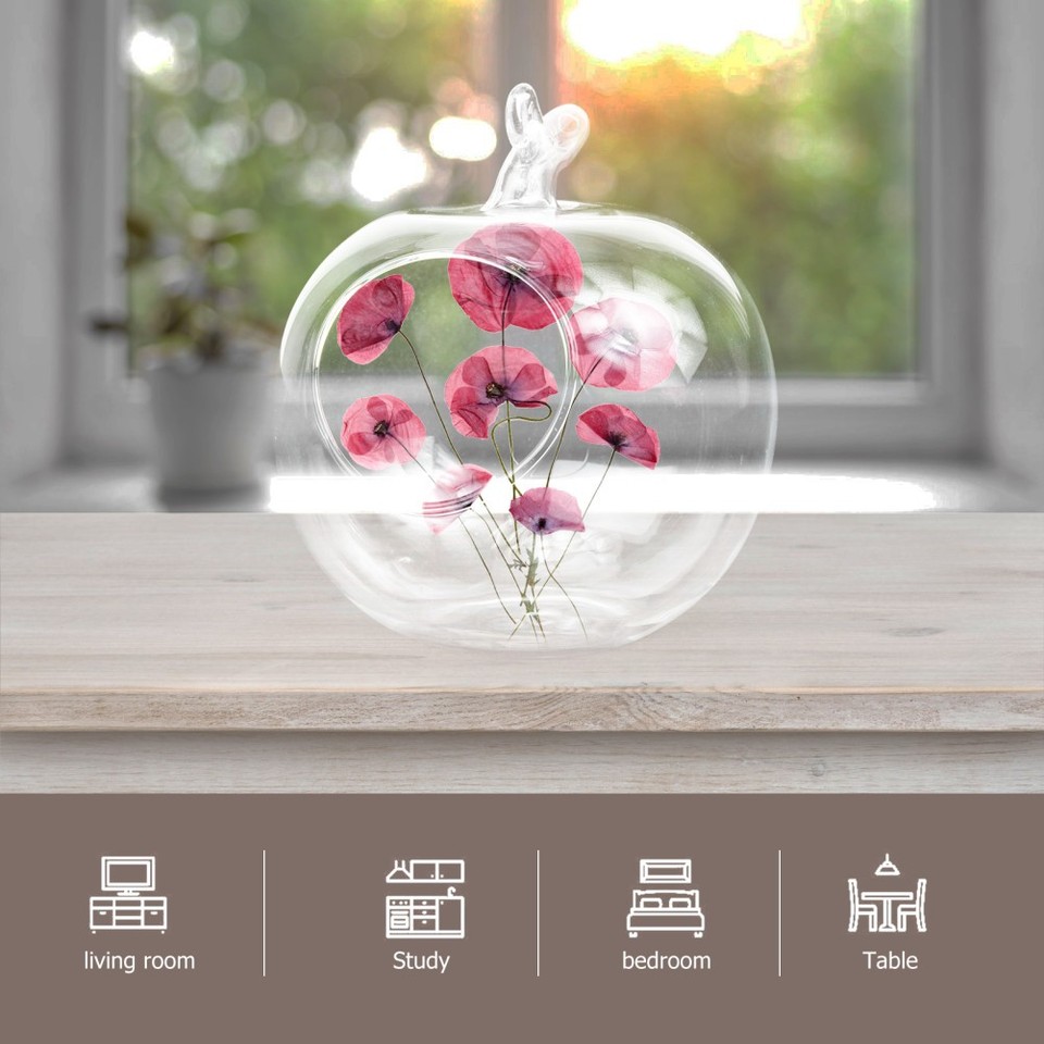 Shape Glass Vase Transparent Terrarium Container for Flower Arrangement ...