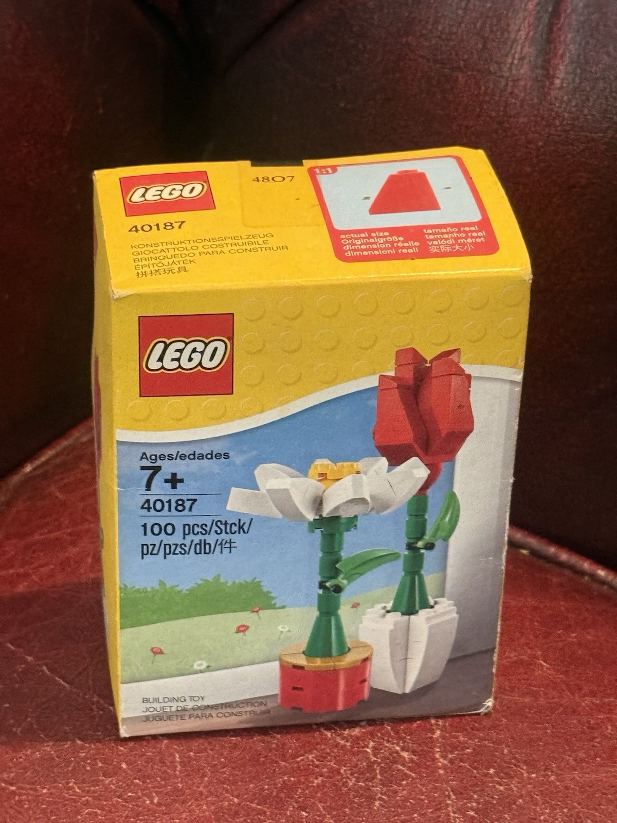 LEGO Iconic: Lego Flower Display 40187 New & Sealed