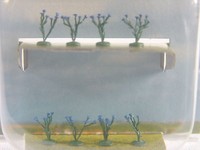 Kornblumenpflanzen - 8 Stck. Fertigmodelle Busch Ho 1:87 - 1247 #E
