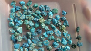 Darling Darlene Spiderweb Turquoise Un Drilled Nuggets Beads NEV 330 KTS 