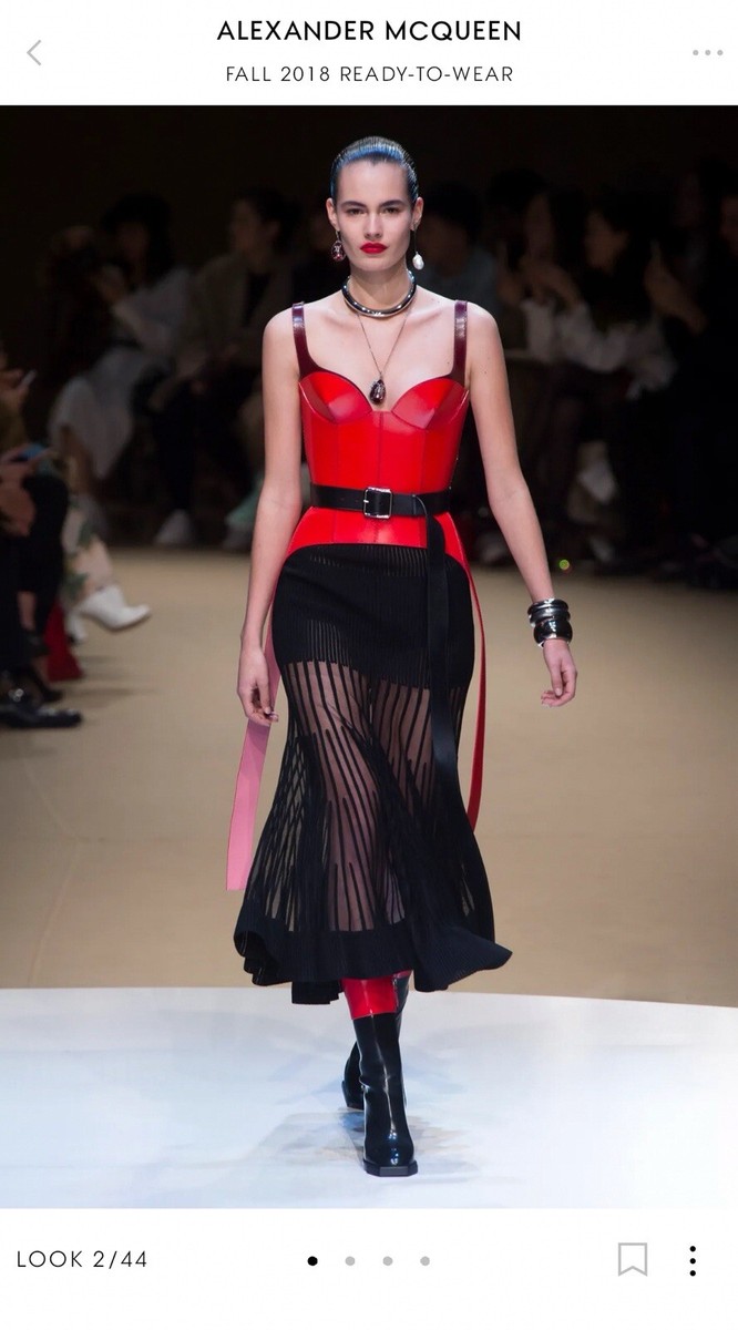 Alexander McQueen Corset