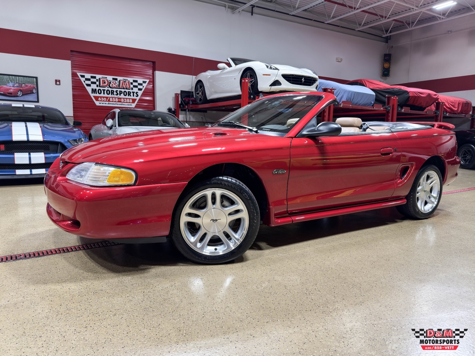1998 Ford Mustang for sale in Glen Ellyn Illinois