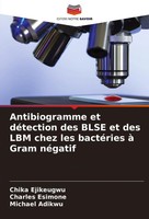 Antibiogramme Et DéTection Des Blse Et Des LBM Chez Les BactéRies à Gram NéGatif