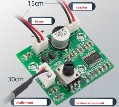 DC 12V 24V 60W Mono Mini High Power HIFI Digital Audio Amplifier Board Module M