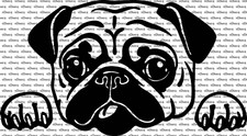 Peeking Pug Tongue Sticking Out Car Truck Van Window Vinyl Decal US Made & Sold