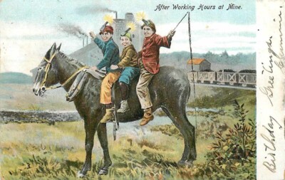 Greeting, After Working Hours At Mine, Boys on Donkey, 1906 PM, IPC No. 25
