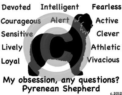 Pyrenean Shepherd Dog My Obsession, Any Questions? T-shirt Choices