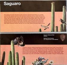 Vintage 2007 SAGUARO NP - AZ   NATIONAL PARK SERVICE UNIGRID BROCHURE/MAP   New
