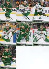 Minnesota Wild ~ Upper Deck Team Sets ~ You Pick the Set