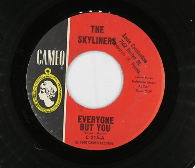 SKYLINERS Doo Wop 45rpm 3 Coins in the Fountain b/w Everyone But You HEAR