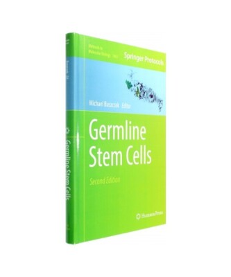 Germline Stem Cells