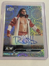 2024 Upper Deck AEW Wrestling Checklist Guide in-content 33