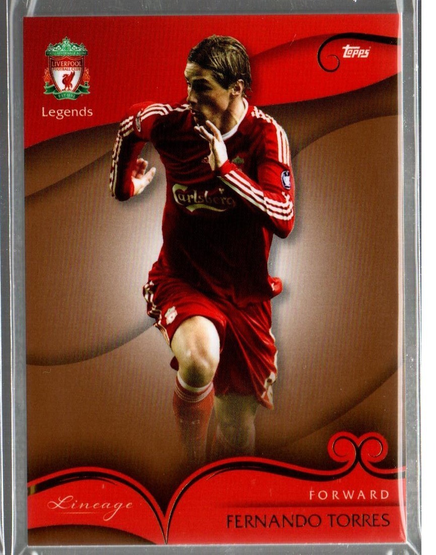 フェルナンド・トーレス/サガン鳥栖 2023 Topps Jリーグ TOPPS Deluxe