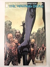 THE WALKING DEAD [2004] – 2 NEAR MINT COMICS (128/129). IMAGE COMICS. FREE POST.