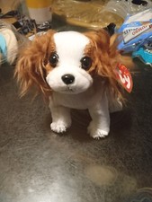 TY Beanie Baby - REGAL the King Charles Spaniel Dog 6 inch - MWMTs Stuffed Toy
