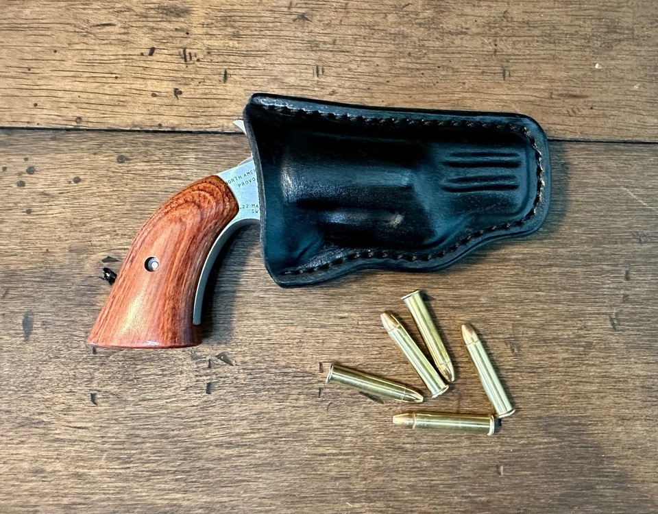 Extraordinary Holster For Naa 22 Mag Gallery
