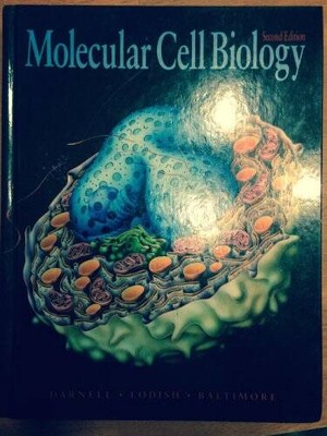 Molecular Cell Biology - Hardcover By James E Darnell - GOOD