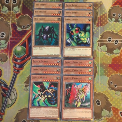 3 x Yugioh Big & Basic Insect + Queen & Princess SS03-ENB03/B04/B08/B12 Mint