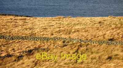 Foto 6x4 Feldgrenzen, Loch Coulter Reservoir Craigend\/NS7887 Ansicht um 2009