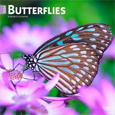Butterflies | 2026 12x24" (Hanging) Square Wall Calendar | Plastic-Free