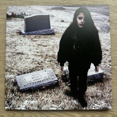 Crystal Castels (II) Vinyl Album Reissue