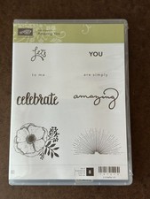 Stampin Up AMAZING YOU Stamps  CELEBRATE YOU Dies Flower Birthday Anniversary