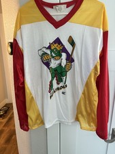 Vintage Anaheim Bullfrogs Hockey Jersey LARGE Orange County Measures 22” X 28”