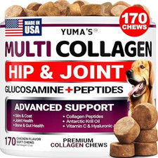 Collagen for Dogs Hip and Joint Supplement Skin and Coat 170 Soft Chews