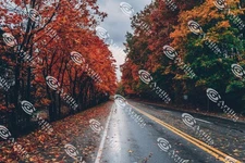 Digital Image Picture Photo Wallpaper Background Desktop AI Art Sample Product