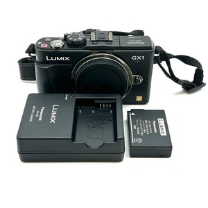 Panasonic Gx1 | eBay