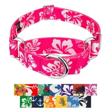 Country Brook Petz® Martingale Dog Collar - Summer Breeze Collection