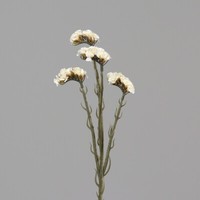 Statice Sinuata / Strandflieder 62Cm Weiß-Creme Dp Kunstblumen KüNstliche Blumen