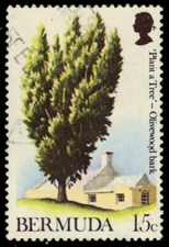 BERMUDA 299 (SG294) - National Trust "Olivewood Tree" (pb81473)