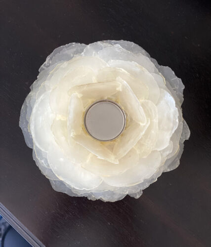 POTTERY BARN Capri Shell Tea Light CANDLE HOLDERS * NEW in BOX ~ 11 Available - Picture 4 of 4