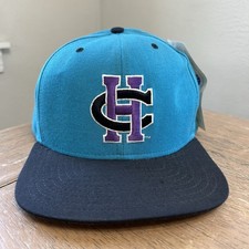NOS 90s Charlotte Hornets Snapback Hat M/L Teal Cap CH Logo New Era Pro Model