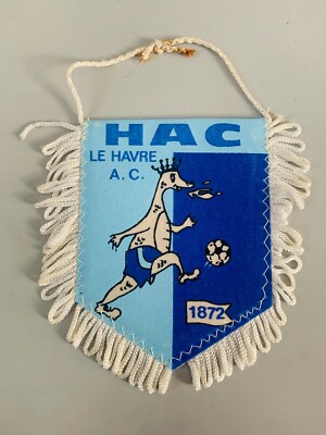 GRAND FANION CARL Zeiss Jena FC Football Foot Pennant Wimpel Vintage 43x30cm EUR 39,99 - FR