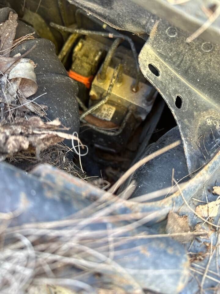 Picture 1 of 12