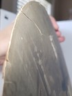 Foto 11 di 19